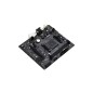 ASRock A520M-HDV Micro-ATX AM4 AMD A520